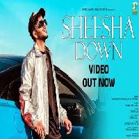 Sheesha Down By MD Desi Rockstar,B Paras Poster